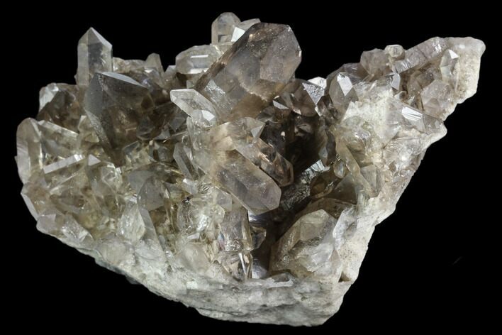 Smoky Quartz Crystal Cluster - Brazil #124570
